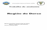Região do Dorso - labanatoin.ufpel.edu.br