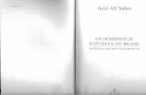 Aziz Ab' Sáber Textos Básicos 1