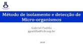 Método de isolamento e detecção de Micro-organismos