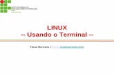 LINUX -- Usando o Terminal