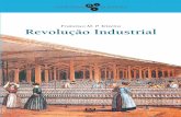 Francisco M. P. Teixeira Revolução Industrial