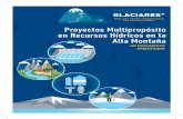 Proyectos Multipropósito - Proyecto Glaciares