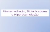 Fitorremediação, Bioindicadores e Hiperacumulação
