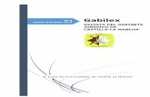 Nº 8 Gabilex Cuarto trimestre 2016 REVISTA DEL GABINETE ...