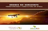 DRONES NO HORIZONTE