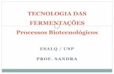 TECNOLOGIA DAS FERMENTAÇÕES Processos Biotecnológicos
