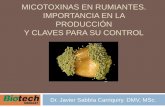 Micotoxinas en rumiantes - SanCor