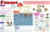 Fungos Grupoformado por mais de 200 mil espécies e ...