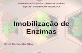 Imobilização de Enzimas - cleantech.eq.ufrj.br