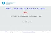 MEA Métodos de Exame e Análise IBA