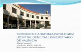SERVICIO DE ANATOMIA PATOLOGICA HOSPITAL GENERAL ...