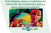 eficiente de nutrientes para a agricultura brasileira.