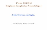 5º ano - RCG 0513 Estágio em Emergência e Traumatologia I