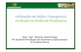 Utilização de Milho Transgênico no Brasil na Visão de ...