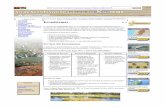 Ecossistemas - Kunene River Awareness Kit