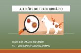 AFECÇÕES DO TRATO URINÁRIO