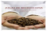 Atlas de Microscopia – Café Torrado e Moído