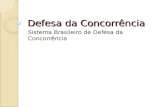 Defesa da Concorrncia Sistema Brasileiro de Defesa da Concorrncia