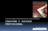 O uso do coaching no desenvolvimento da carreira ... - Coaching - Coaching co  Nomenclatura Coach