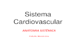 Sistema Cardiovascular - .CONSTITUI‡A• DO SISTEMA CARDIOVASCULAR: â€¢O sistema cardiovascular ©