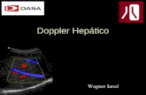 Doppler heptico