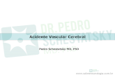 Acidente Vascular Cerebral - Dr. Pedro Schesta .â€œconhecendo o inimigoâ€‌ . AVC Morte vascular Estenose