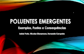 1 POLUENTES EMERGENTES - ufjf.br ?rio-Poluentes-emergentes_2...  Fonte mais importante: Atrav©s