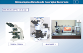 Microscopia e M©todos de Colora§£o Bacteriana 1 - Microscopia e...  Microscopia e M©todos de