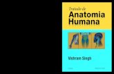 Tratado de Humana Anatomia atoa Anatomia aa Vishram Singh ... TRAADO T DE ANATOMIA HUMANA Sgeunda E£§££o