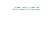 1 - LIVRO - Ultrassonografia Doppler Em Andrologia