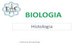 BIOLOGIA - .BIOLOGIA. Histologia (Estudo dos Tecidos) C©lulas-tronco Tecidos conjunto de c©lulas