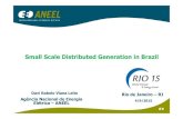 SmallScaleDistributedGenerationin Brazil - rio15. 5)_Distributed_Generation_in Brazil...  SmallScaleDistributedGenerationin