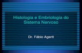 Histologia e Embriologia do Sistema Nervoso .â€¢No embri£o: todo o canal vertebral â€¢No RN: L2-L3