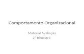 Comportamento Organizacional Material Avalia§£o 2 Bimestre
