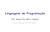 Linguagens de Programa£§££o - Mestrado e Doutorado em ... miguel/docs/lingprog/ ¢  Vantagens do Uso