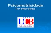 Prof. Dilson Borges Psicomotricidade Prof. Dilson Borges