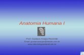 Anatomia Humana I