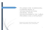 PLANO DE CARGOS, CARREIRAS E VENCIMENTOS GERAL .VII. carreira: escalonamento de cargos de provimento
