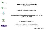 Oscar  castillo santiago