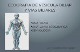 Ecografia de Vesicula Biliar y Vias Biliares