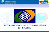 BRASIL ENFERMEDADES PROFESIONALES ENFERMEDADES PROFESIONALES EN BRASIL