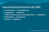 Neurotransmissores do SNC