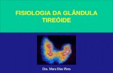 FISIOLOGIA DA GLÂNDULA TIREÓIDE Dra. Mara Dias Pires