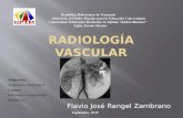 Radiologia vascular