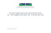 Congestionamento e Engenharia Urbana