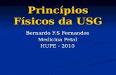Princípios Físicos da USG Bernardo F.S Fernandes Medicina Fetal HUPE - 2010
