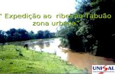 “ Expedição ao ribeirão Tabuão zona urbana”. Qual a situação do ribeirão Tabuão na cidade de Lorena? Problema