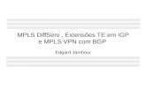 MPLS DiffServ , Extensµes TE em IGP e MPLS VPN com BGP  Edgard Jamhour
