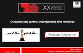 O MELHOR DOS EXAMES CARDIOL£â€œGICOS N£’O ... Recommendations for Cardiac Chamber Quantification by Echocardiography
