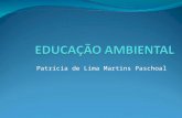 Patrícia de Lima Martins Paschoal. 1. INTRODUÇÃO Relevância da problemática ambiental